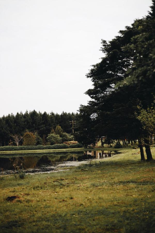 Pousada Recanto Do Lago Cambará エクステリア 写真