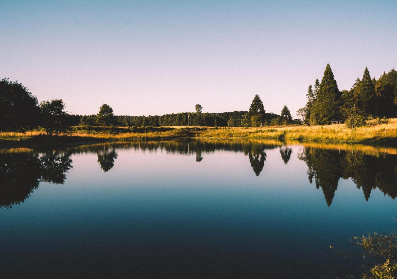 Pousada Recanto Do Lago Cambará エクステリア 写真